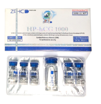 HP-hCG | Gonadotrofina Coriônica Humana (hCG) | Kit 5.000 UI | 5 frascos × 1.000 UI | ZPHC