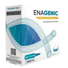 ENANGENIC (Enantato de Testosterona 250mg por ml) – Geniqs Pharma