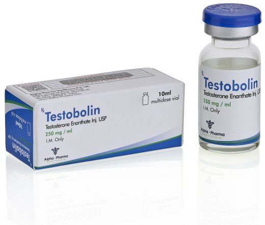 enantato de testosterona - testobolin - alpha pharma - enant de testo - testo